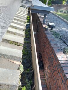 gutter guard failures