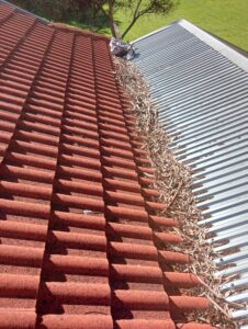 emergency gutter cleaning service