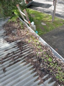 gutter cleaning near me