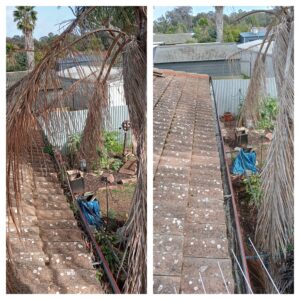 gutter cleaners near me adelaide