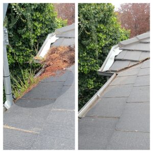 gutter cleaning in adelaide before and after