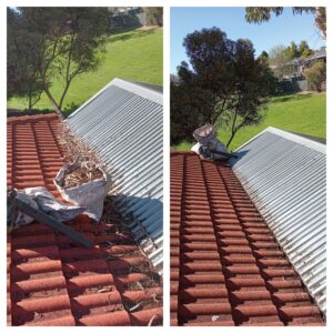 adelaide local gutter cleaning