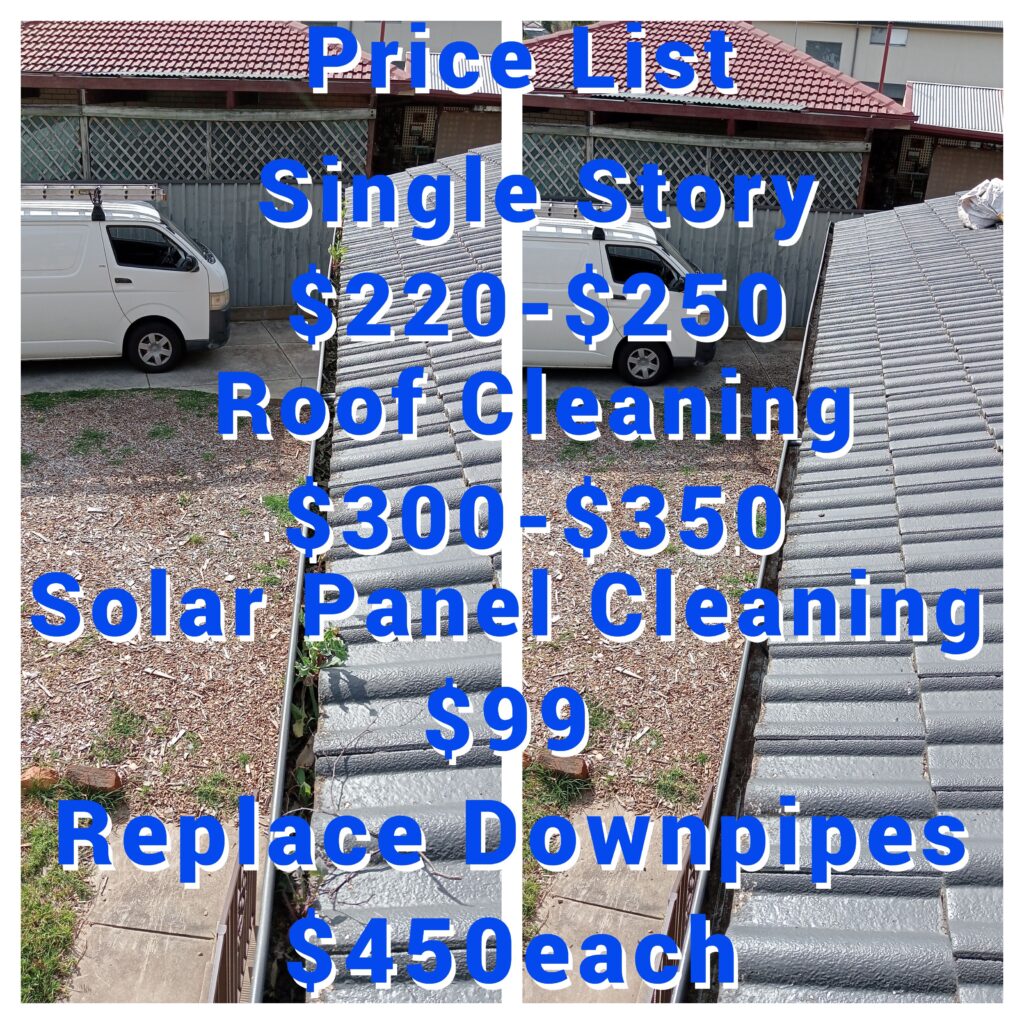 gutter cleaning prices