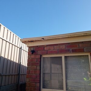 gutter replacement adelaide cost