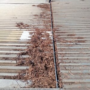 Overflowing gutters Adelaide replacement
