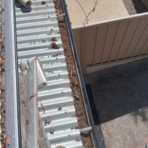Blocked gutters in Adelaide
